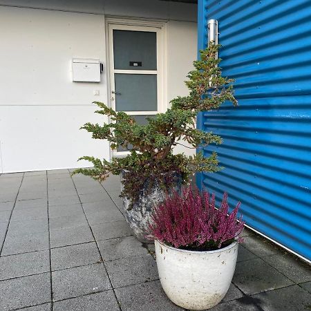 David'S Apartment セルフォス エクステリア 写真